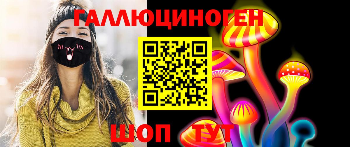 Галлюциногенные грибы Psilocybine cubensis Нововоронеж
