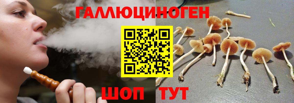 Галлюциногенные грибы GOLDEN TEACHER  Галлюциногенные грибы Magic Shrooms  Вход с VPN  что такое наркотик  Нововоронеж 
