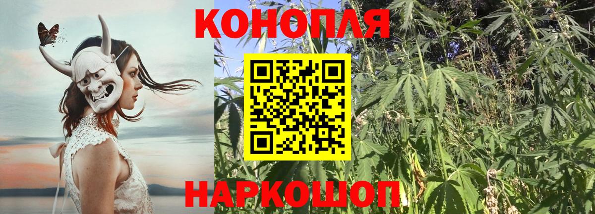 Канабис OG Kush Нововоронеж